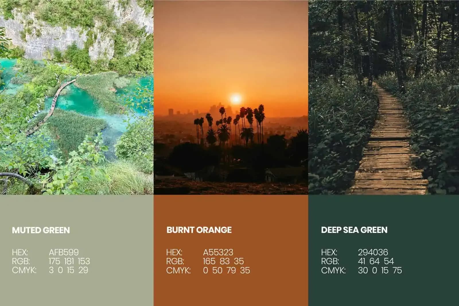 Framily colour palette of muted green, burnt orange and deep sea green above travel photography
